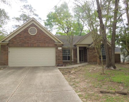 14 Lush Meadow Place, The Woodlands