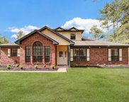 40219 Country Forest Drive, Magnolia image