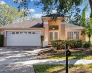 5206 Abbey Park Avenue, Tampa image