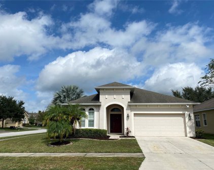 7621 Stoney Hill Drive, Wesley Chapel