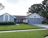 15809 Crying Wind Drive, Tampa image