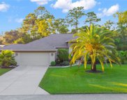 82 Daisy Street, Homosassa image