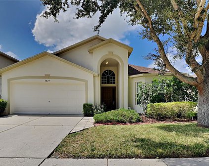 2825 Butterfly Landing Drive, Land O' Lakes
