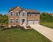 10658 Blooming Court, Independence image
