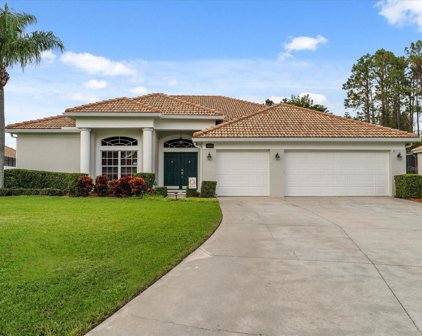 6448 Chatham View Court, Windermere