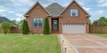 1074 Pusher Pl, Rockvale
