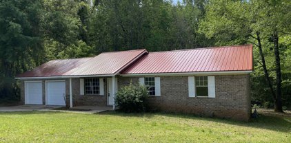 259 Willis Wilder Drive, Forsyth