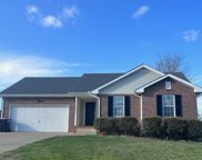 3217 Tabby Dr, Clarksville image