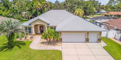 2421 Kumquat Drive, Edgewater