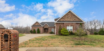 1996 Boyer Blvd, Clarksville