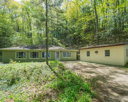 35446 Blue Star Highway, Covert