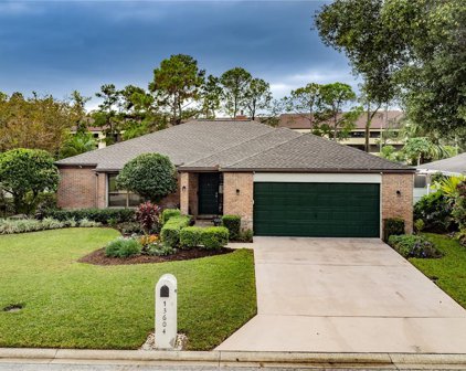 13604 Clubside Drive, Tampa
