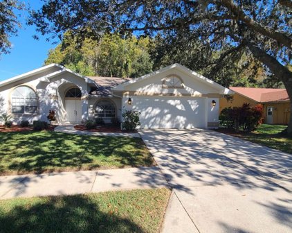 1724 Percheron Drive, Trinity