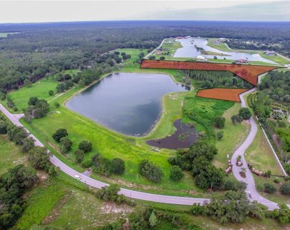 9 Outlaw Way, Land O' Lakes