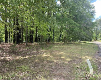 Wasson Way, Simpsonville
