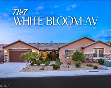 7197 White Bloom Avenue, Las Vegas