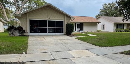 1657 Glengarry Drive, Palm Harbor