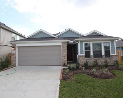 1213 Cavalry Junction Drive, Alvin