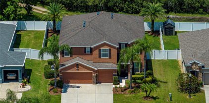 1902 Wind Meadows Drive, Bartow