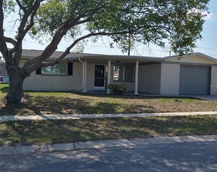 2126 Peggy Drive, Holiday