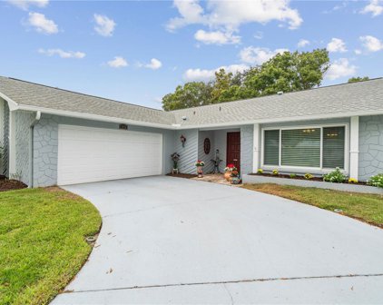 1976 Chaucer Court, Palm Harbor