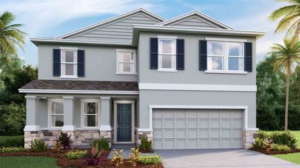 5668 Hawks Cay Street, Apollo Beach