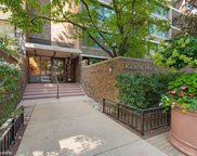 1555 N Sandburg Terrace Unit #303, Chicago image