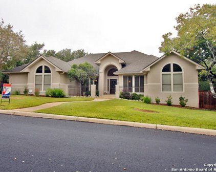29215 Oakview Ridge, Fair Oaks Ranch