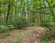 4089 Little River  Road, Hendersonville image