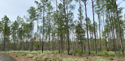 24633 Lot 22 Fm 844, Huntington