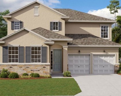 19366 Banfield Place, Orlando