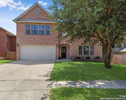 11208 Forest Pass Ct, Live Oak