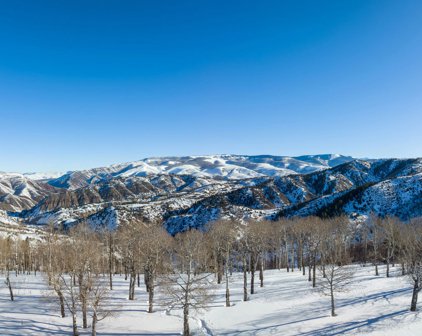 288 Aspen Meadows Road, Edwards