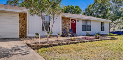 300 Sweetgum Court, Palm Harbor