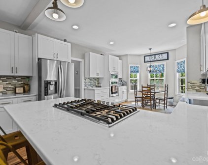 10005 Bora Bora  Drive, Tega Cay