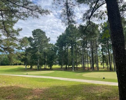 123 Gunnery Ct, Ninety Six