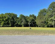 333 Worthington Lane, Guntersville image