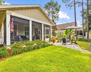 155 Cannonball Lane, Inlet Beach image