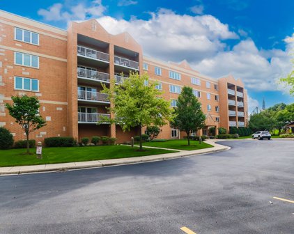 7450 N Waukegan Road Unit #406, Niles