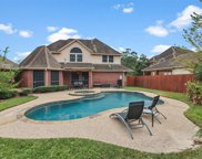 6218 Laver Love Drive, Spring image