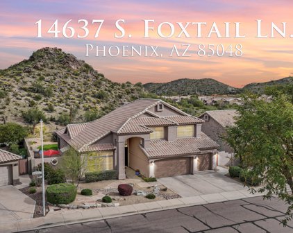 14637 S Foxtail Lane, Phoenix