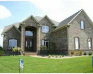 10317 Forest Meadow Cir, Fortville image