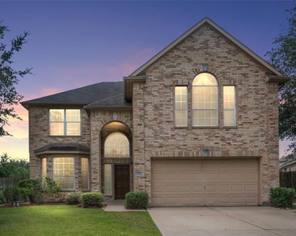 14803 Fletcher Bridge Court, Sugar Land
