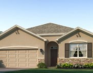 18019 Canopy Place, Bradenton image