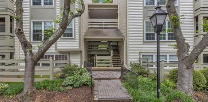 11717 Karbon Hill Ct Unit #704F, Reston