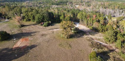 21.61 Ac Hwy 26, Lucedale