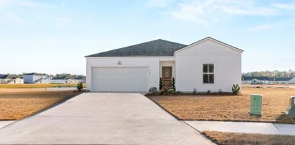3359 Piney Woods Way, Myrtle Beach