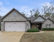 13968 Knoll Point Drive, Northport image