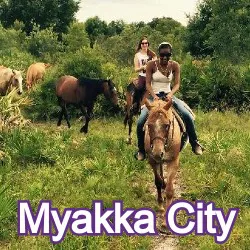 Myakka City Florida Homes for Sale