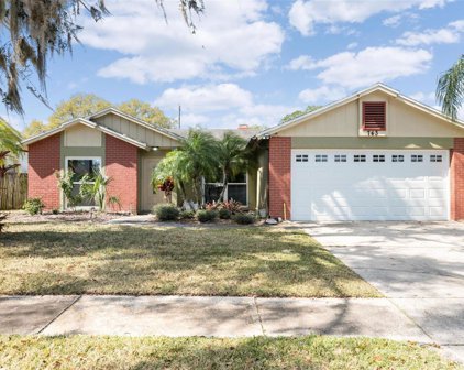 743 Stillview Circle, Brandon